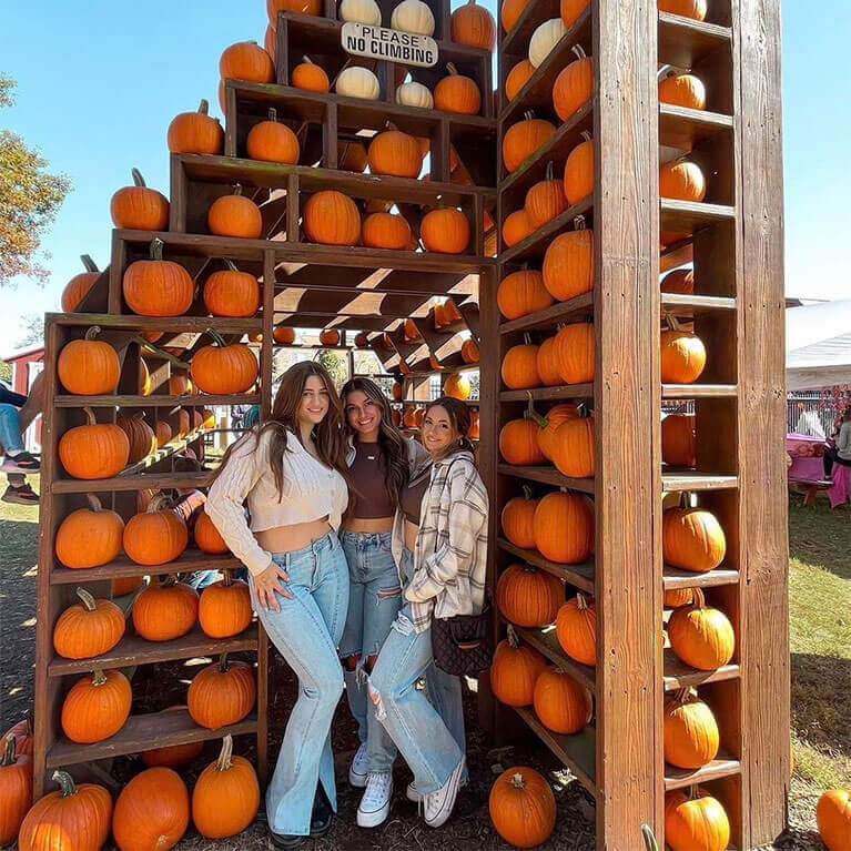 FB-PumpkinHouse