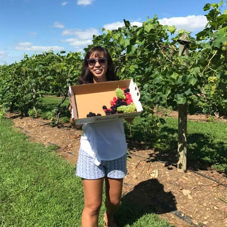 FB-UPickGrapes