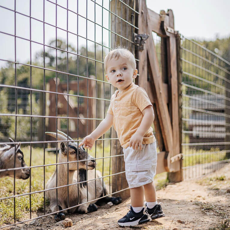 PettingFarmBoyGoats